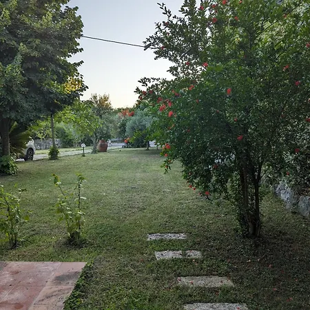 Apartman Samur - Attic