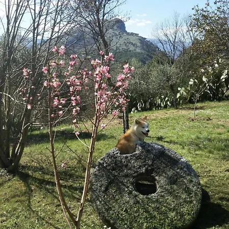 Samur - Attic דירה *