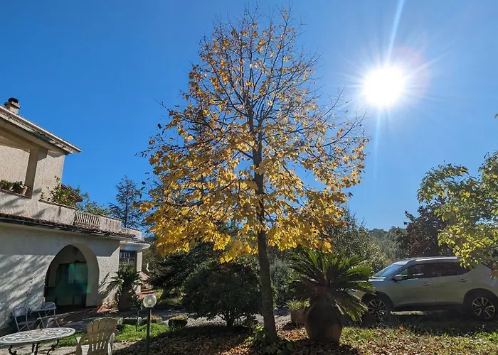 Apartman Samur - Attic