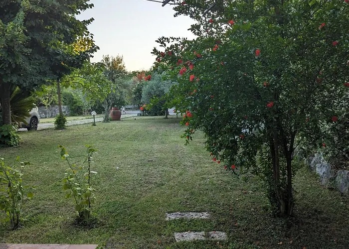 Apartman Samur - Attic