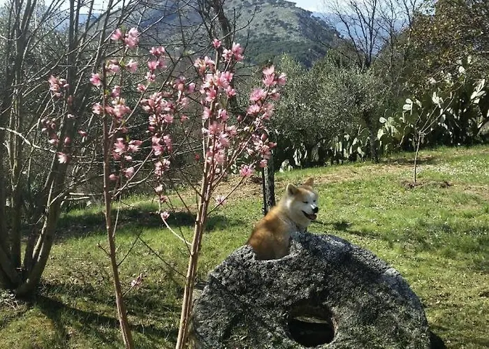 Samur - Attic Apartman *